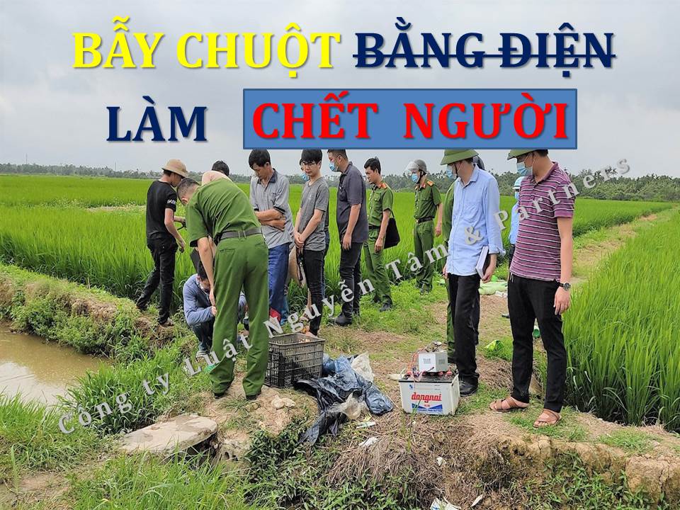 BẪY CHUỘT BẰNG ĐIỆN LÀM CHẾT NGƯỜI THÌ BỊ XỬ LÝ VỀ TỘI GÌ?
